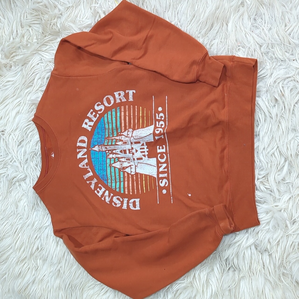 Disneyland resort sweatshirt